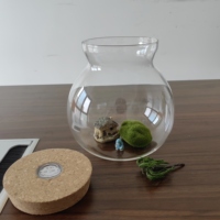 Mini terrarium en verre avec bouchon en bois et lumière LED pour la décoration de la maison, mini vase sphérique en mousse naturelle pour table