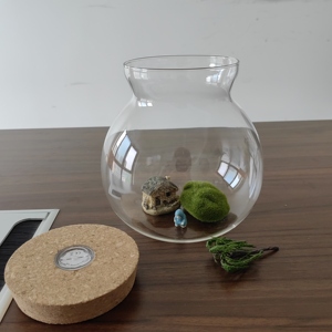 Mini <span class=keywords><strong>Terrario</strong></span> Paesaggistico <span class=keywords><strong>in</strong></span> <span class=keywords><strong>Vetro</strong></span> con Tappo <span class=keywords><strong>in</strong></span> Legno e Luce a Led per Arredamento, Vaso Sferoidale da Tavolo per Muschio Naturale - Product Image 4