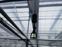 Filet d'ombrage en aluminium pour serre jardin potager fleuri