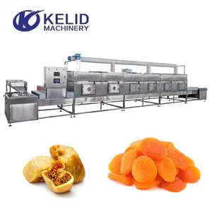 Endüstriyel kurutulmuş meyve üzüm sterilizasyon makinesi mikrodalga tünel tip kurutucu