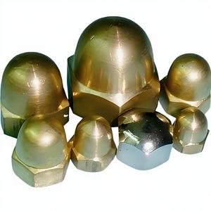 น็อตทองเหลืองยูชุง  น็อตทองเหลืองทรงโดม (น็อตทรงลูกโอ๊ก)  ขนาดนิ้ว  10 กรัม - 3/4 นิ้ว - Product Image 1