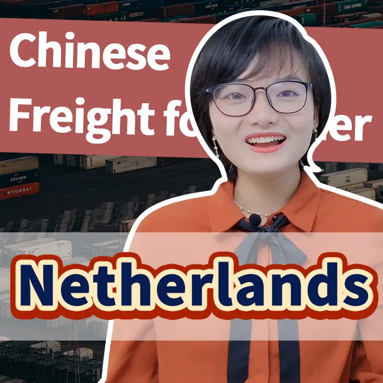 best shipping cost freight forwarder to Netherlands from China/Shenzhen/Guangzhou/Shanghai by sea/air/truck/railway/express