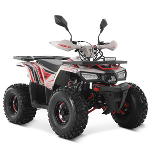 Tao động cơ 2024 off road trang trại giá rẻ ATV gas Powered cuatrimoto quadricycle tự động 4 thì động cơ 125cc ATV - Product Image 4