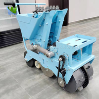 Planteur d'ail manuel, semoir à ail, machine à planter à la main, Chine, à vendre