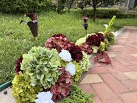 Groothandel Real Touch Kunstbloemen voor looppaden, witte hortensia bloemen, bruidsgang bloemen, bruidsboeket