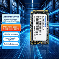 Stock disponible – SSD M.2 2242 SATA III de qualité industrielle, disque SSD multi-températures pour IPC embarqué ultra-mince – Achat direct en gros