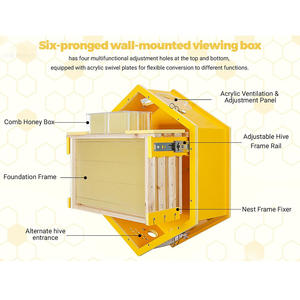 Kit de inicio de <span class=keywords><strong>colmena</strong></span> de observación de apicultura <span class=keywords><strong>Colmena</strong></span> de abeja hexagonal montada en la pared - Product Image 3