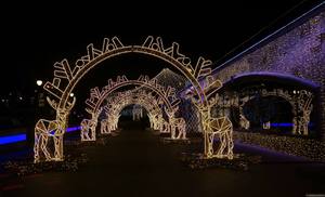 Luz LED de Arco Personalizada, Impermeable IP65, Blanco Cálido, para Interiores y Exteriores, Fiestas, Jardín, Decoraciones de Festivales, 10 m, Certificación CE y RoHS - Product Image 1