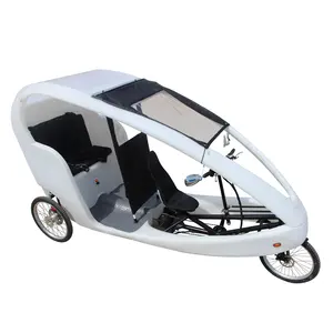 China fabricante 6 velocidades pedal assistente 2 passageiros adulto bicicleta revestimento assento bateria auto elétrica rickshaw