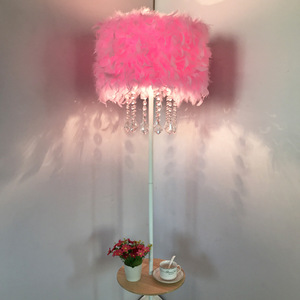 Lámpara de Pie Moderna con Pluma Roja, Pantalla de Cúpula, Base de Acero Inoxidable, LED E26, Luz Blanca Cálida de 3500K, Regulable, CRI 90, Residencial - Product Image 2