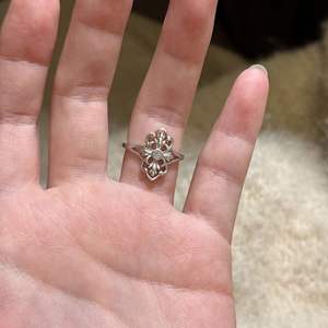 Anillo Iris de Plata Pura S925 con Diseño de Nicho de Lujo, Joyería de Alta Gama con Apertura de Concha Exquisita para Mujer - Product Image 1