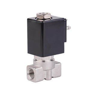 Vanne solénoïde 2 voies en laiton Ruby Seal pour machine à café vapeur 24V AC220V - Product Image 4