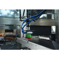 Robot Delta de haute qualité, machine d'emballage de sachets alimentaires, bras Robot Delta entièrement automatique