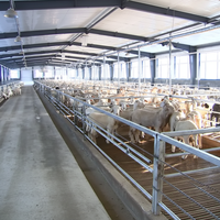 Structures de hangar en acier galvanisé à chaud à longue portée pour fermes avicoles, bâtiments d'élevage de poulets, granges pour bétail