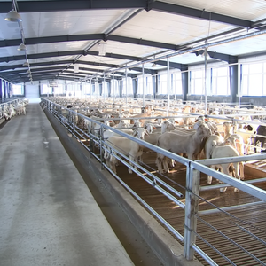 Structures de hangar à ossature en acier galvanisé à chaud à grande portée pour fermes avicoles, bâtiments d'élevage, abris pour moutons, hangars pour <span class=keywords><strong>ch</strong></span>èvres laitières et granges à moutons - Product Image 1