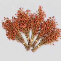 UKIQUEEN Baies de cynorrhodon préservées pour arrangements floraux de mariage, décoration intérieure et créations de couronnes