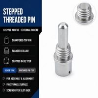 Pin Dowel Berulir dengan Bahu Pengatur Posisi, Pin Poros Bertingkat, Finishing Pasifasi, Diameter Kepala Kustom untuk Penentuan Posisi Fixture Cetakan