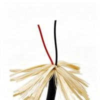 Câble de ballon Paide tressé, 2 conducteurs 20AWG en cuivre étamé, résistance à la traction 1000KG, isolation FEP, gaine TPU légère, câble d'alimentation