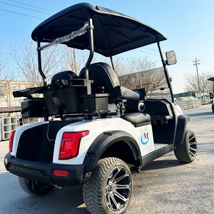 Voitures de golf électriques, véhicules buggy, chariots de golf 2, 4, 6 places, chariots de golf personnalisables - Product Image 4
