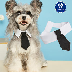 Tanpopo Schattige Hondenhalsband Met Hals En Stropdas Verstelbaar Sterpatroon Accessoire Verkleedfestivals Duurzaam Blauw Doek Kraag - Product Image 1