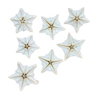 Coquillages naturels d'étoile de mer Dragon Bone, artisanat fait main, souvenirs de marché de plage en gros de Chine, décorations pour aquarium