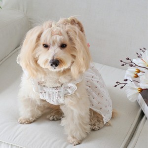 Vêtements pour animaux de compagnie, robe babydoll à imprimé cerise, polyester blanc, printemps-été, pour chats et chiens - Product Image 2