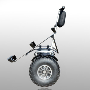 Vehículo de dos ruedas inteligente con equilibrio automático, versión Golf, sin escobillas, plegable, con batería de litio, capacidad de 150 kg, suministro transfronterizo. - Product Image 1