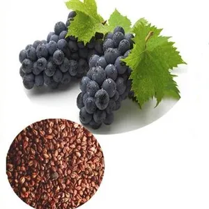 Venda por atacado de rótulo privado, óleo de semente de uva orgânica natural massagem fria de cuidados com a pele óleo de grapeseed puro
