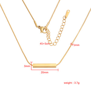 Collana con Ciondolo a Tubo Incidibile in Acciaio Inossidabile Impermeabile, Catena a Serpente per Donna - Product Image 2