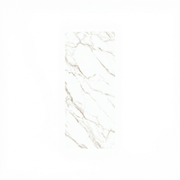 Pierre frittée robuste 1600*3200mm 12mm effet lumineux doux parfait pour la décoration durable du panneau mural du dessus de la table du salon de l'aéroport