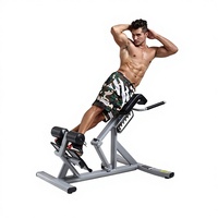 Chaise romaine commerciale pour hyperextension, banc réglable à 45 degrés, robuste, en acier, pour l'entraînement de la force musculaire