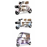 Mini tricycle électrique 48V 500W à 3 roues pour femmes, siège rembourré, panier avant, double boîte de rangement pour le shopping