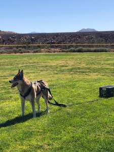 Conjunto de correa de perro retráctil de arrastre de lujo <span class=keywords><strong>Collar</strong></span> de entrenamiento de peso duradero personalizado con Material de fibra de tela de nailon de lino - Product Image 6