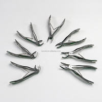 EUR VET Meilleur prix Lot de 7 pinces d'extraction dentaire en acier inoxydable pour animaux de compagnie Equipement vétérinaire Extraction dentaire pour animaux de compagnie