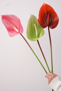 Plantas y Flores Artificiales <span class=keywords><strong>de</strong></span> Látex Real Touch, Planta <span class=keywords><strong>de</strong></span> Anturio <span class=keywords><strong>de</strong></span> Plástico, Decoración para Bodas, Navidad, Día <span class=keywords><strong>de</strong></span> la Madre - Product Image 4