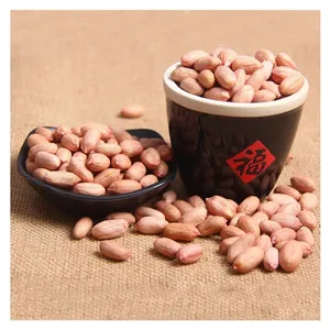 Wholesale High Quality Peanut 100% Natural Raw Peanuts Nuts Without Shell