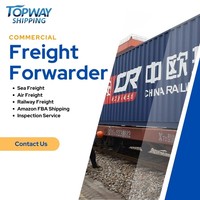 Transporteur professionnel vérifié sur Alibaba, agent de transport, transport maritime/aérien de porte à porte vers l'Europe, les États-Unis et le Royaume-Uni, DDP