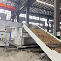 Machine de séchage à bande maillée continue pour cacahuètes, machine de séchage à bande maillée pour noix de cajou