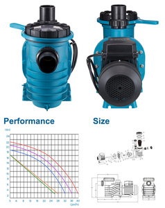 Bomba de piscina <span class=keywords><strong>el</strong></span>éctrica de flujo máximo de 1.5hp con cabezal de flujo de 13 <span class=keywords><strong>metros</strong></span> Filtro de martillo de agua para spa y piscina Capacidad de 16 M³/hr - Product Image 5