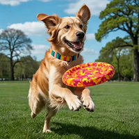 Disque volant pour chien en mousse EVA naturelle, écologique et durable, jouet interactif à mâcher, style classique tendance, entraînement en extérieur, couleur personnalisée