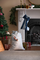 Chaussettes de Noël en velours à suspendre, rouges et bleues, vierges, douces, pour décoration