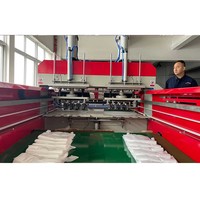 High Speed Plastic Carry Bag Making Machine Maker Dubbele Lagen Koude Cutting Ldpe Plastic Zak Making Machine