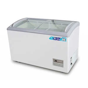 Congelatore a Pozzetto Commerciale all'Ingrosso con <span class=keywords><strong>Doppia</strong></span> <span class=keywords><strong>Porta</strong></span> <span class=keywords><strong>Scorrevole</strong></span> e Ampia Capacità di Stoccaggio - Product Image 3