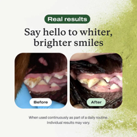 Poudre dentaire OEM/ODM pour un nettoyage facile des dents, cible le tartre et la mauvaise haleine, rafraîchisseur d'haleine naturel à base d'extraits végétaux