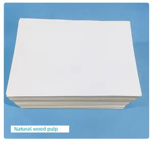 Papel de liberación de papel recubierto de silicona de doble cara para hoja de papel para hornear