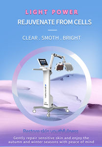 Mesin Terapi Cahaya LED PDT Inframerah Merah Biru Kernel KN-7000D untuk Peremajaan Kulit Wajah, Terapi Cahaya LED untuk Penggunaan Salon - Product Image 2