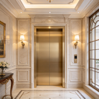 Ascenseur de villa moderne avec cabine en acier inoxydable miroir pour projets immobiliers de luxe et plans de développement