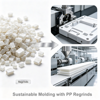 Granulés de PP recyclé, flocons de PP recyclé, rebuts de PP recyclé pour le moulage par injection et l'extrusion durables