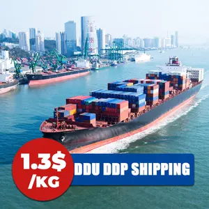 Internationale 20ft 40ft Container Deur Tot Deur Service Ddp Zee Expediteur Naar Usa France Griekenland Uk Italy Spanje Portugal