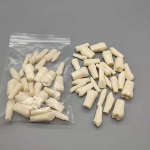 Juego completo de modelos de arco dental de 28 piezas para práctica y examen de estudiantes, dientes endodónticos extraídos para ciencia médica - Product Image 4